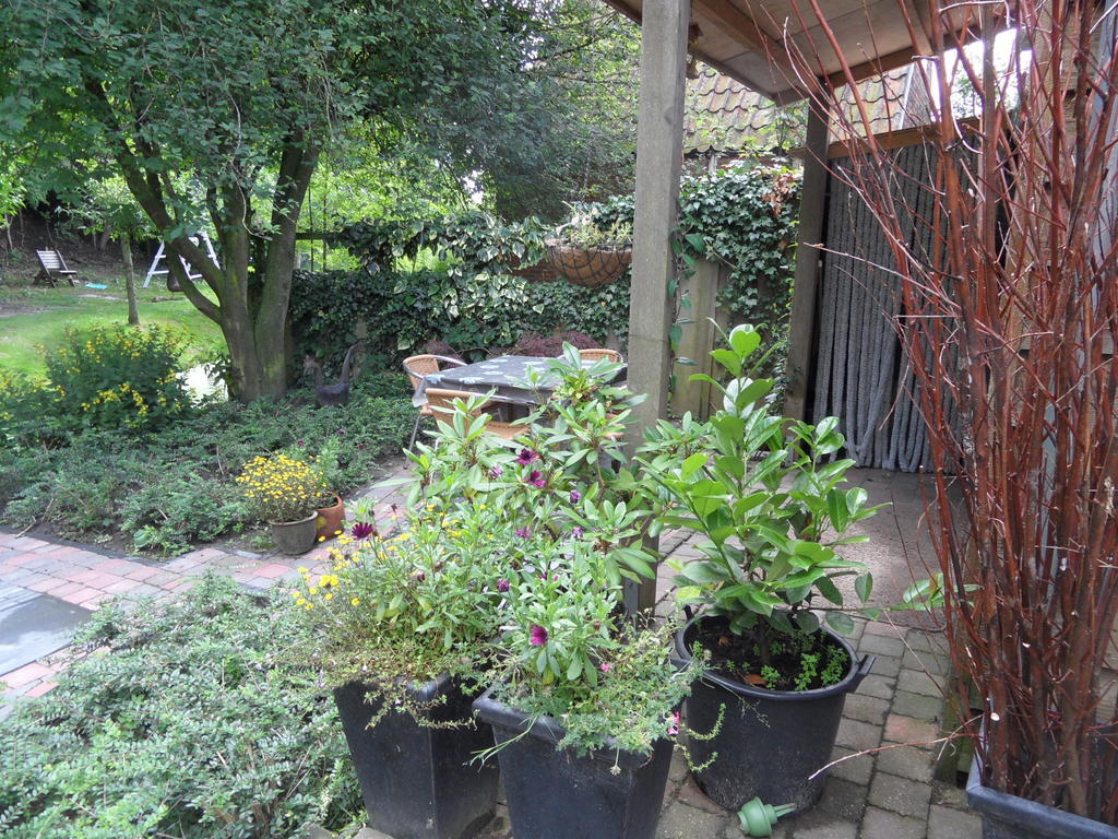Appartement Regina Garnwerd ห้อง รูปภาพ